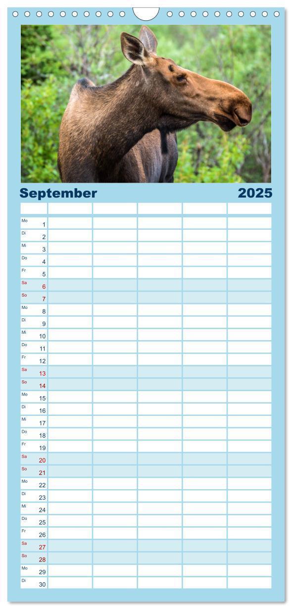 Bild: 9783457121344 | Familienplaner 2025 - Der Alaska Kalender mit 5 Spalten...