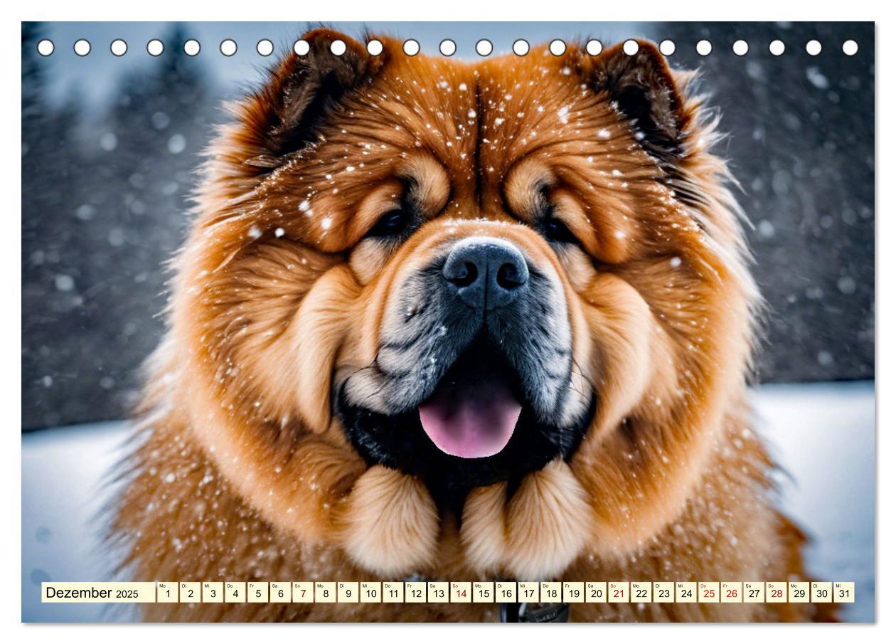 Bild: 9783457036945 | Chow Chow - der Löwenkopfhund (Tischkalender 2025 DIN A5 quer),...