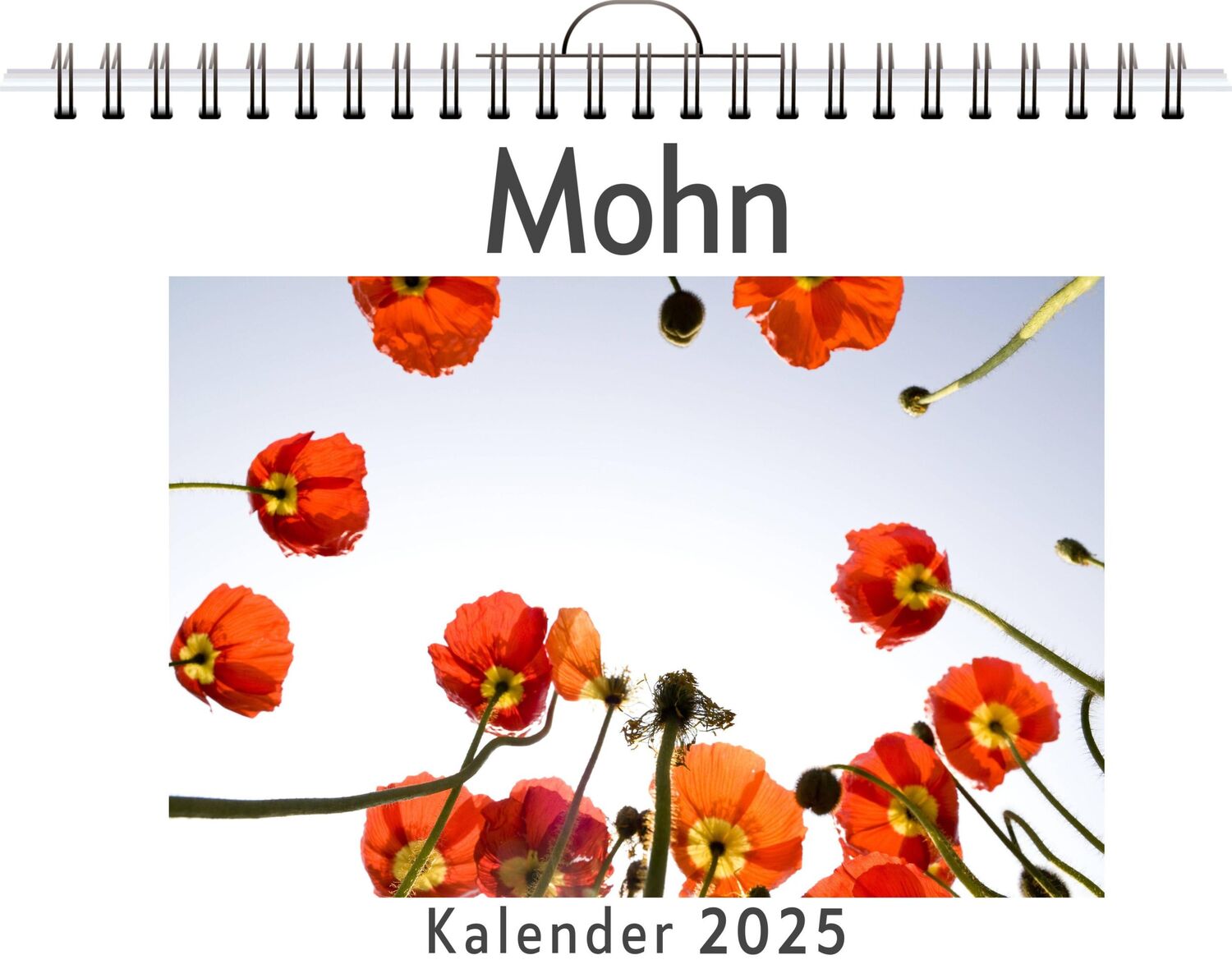 Cover: 9783759120939 | Mohn | Emily Schneider | Kalender | Kalender | 14 S. | Deutsch