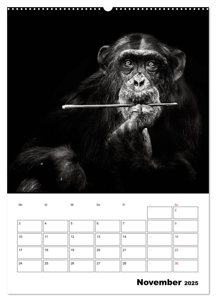 Bild: 9783457012840 | Charakterköpfe aus der Welt der Tiere (Wandkalender 2025 DIN A2...