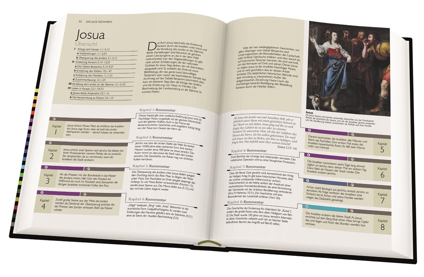 Bild: 9783806236095 | Der Bibel-Guide | Sonderausgabe | Henry Wansbrough | Taschenbuch