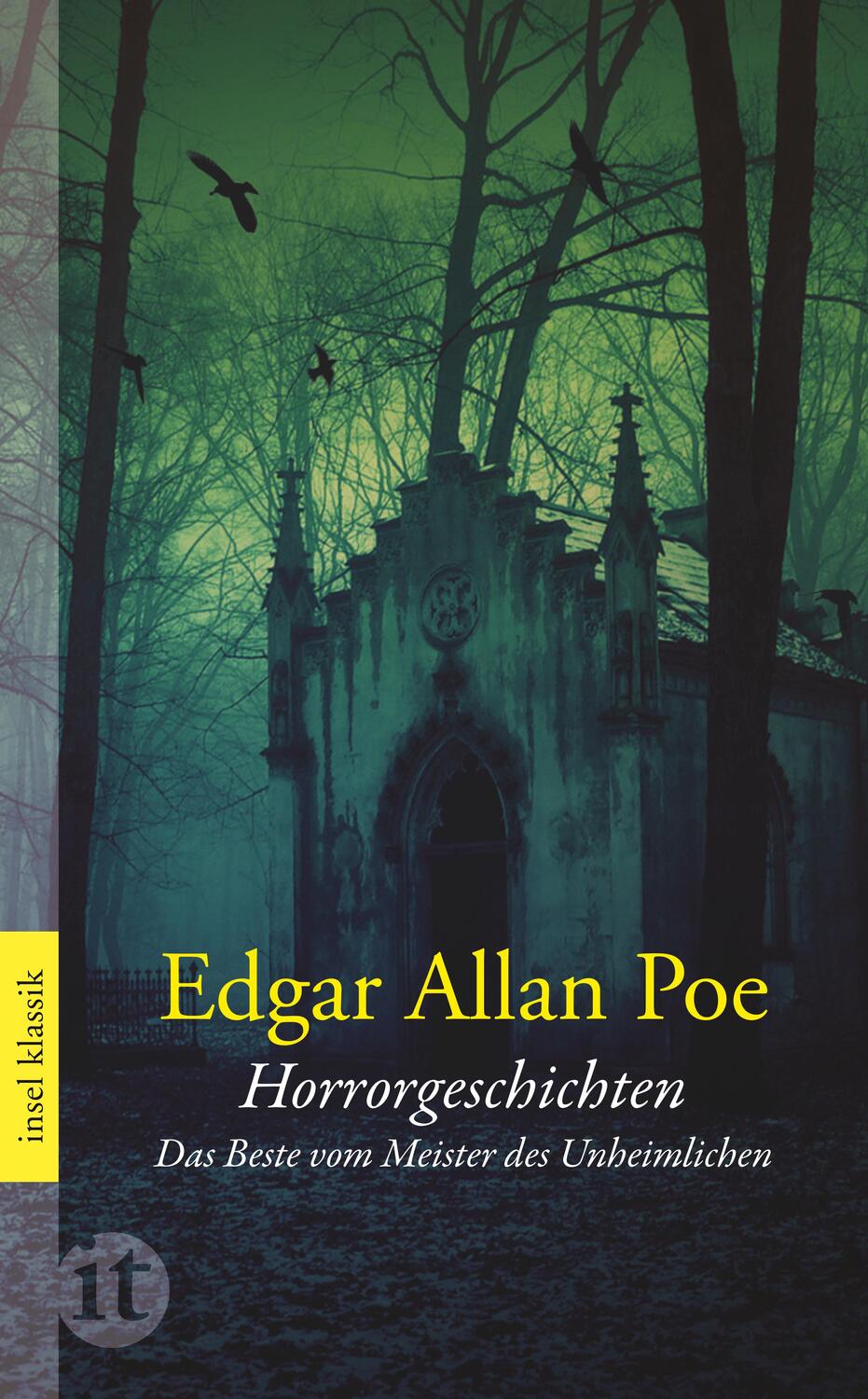 Cover: 9783458362319 | Horrorgeschichten | Das Beste vom Meister des Unheimlichen | Poe
