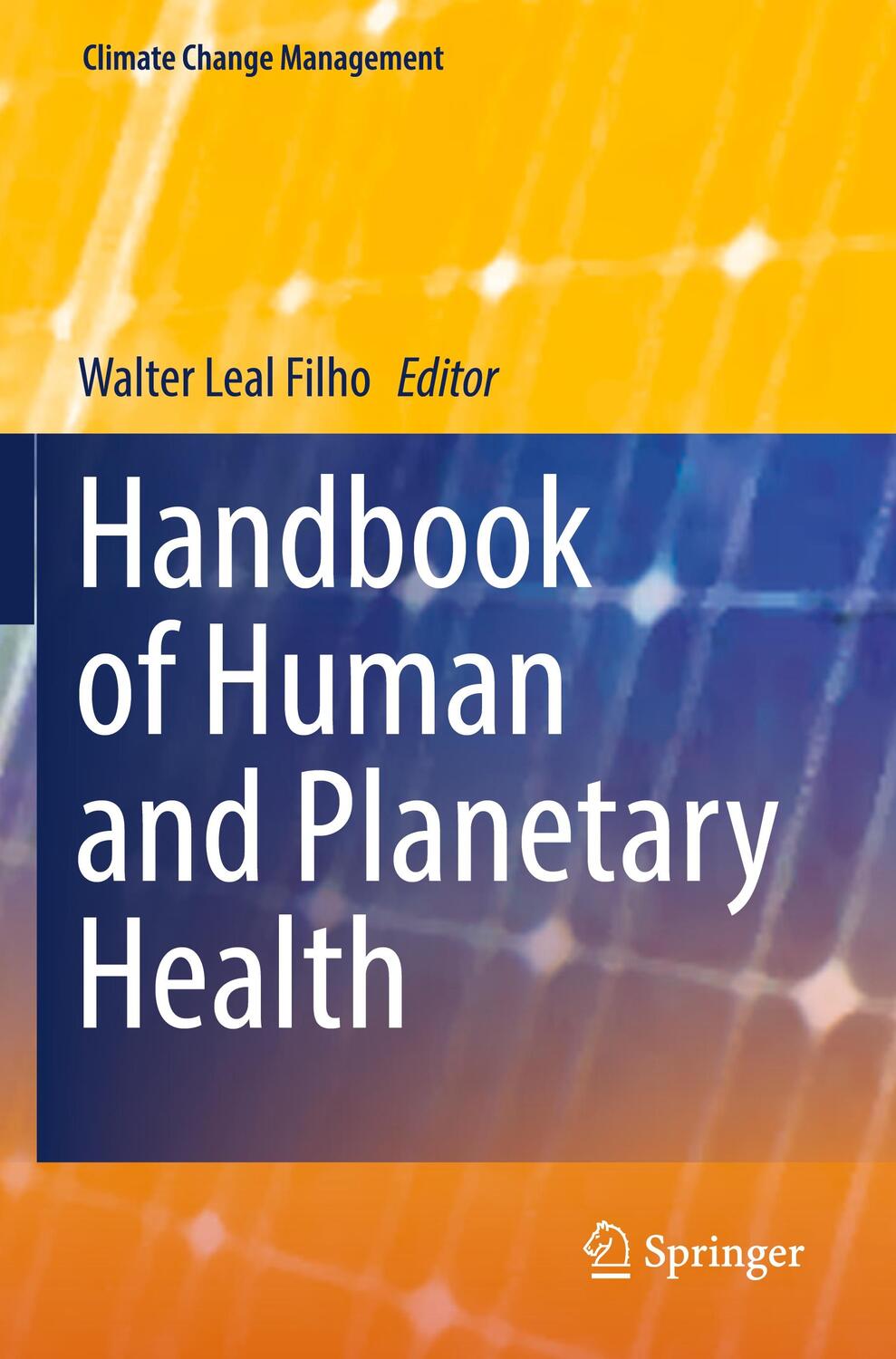 Cover: 9783031098819 | Handbook of Human and Planetary Health | Walter Leal Filho | Buch | ix