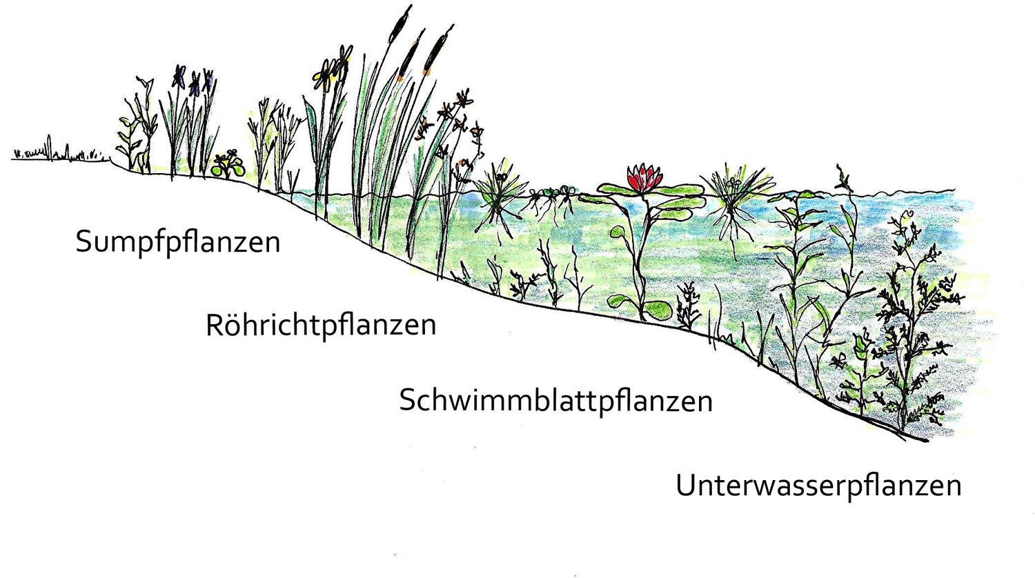 Bild: 9783706626255 | Handbuch Wasser im Garten | Paula Polak | Buch | 588 S. | Deutsch