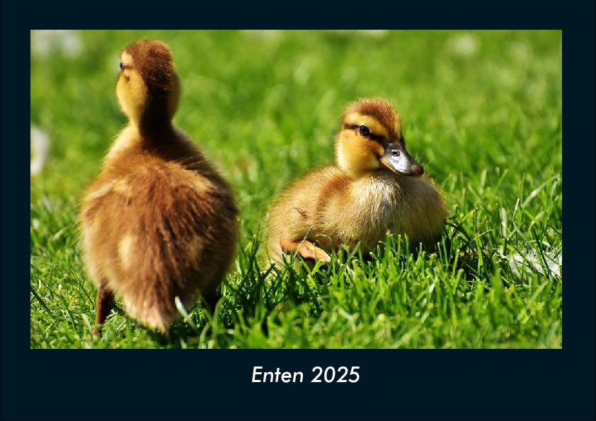 Cover: 9783755989561 | Enten 2025 Fotokalender DIN A4 | Tobias Becker | Kalender | Kalender