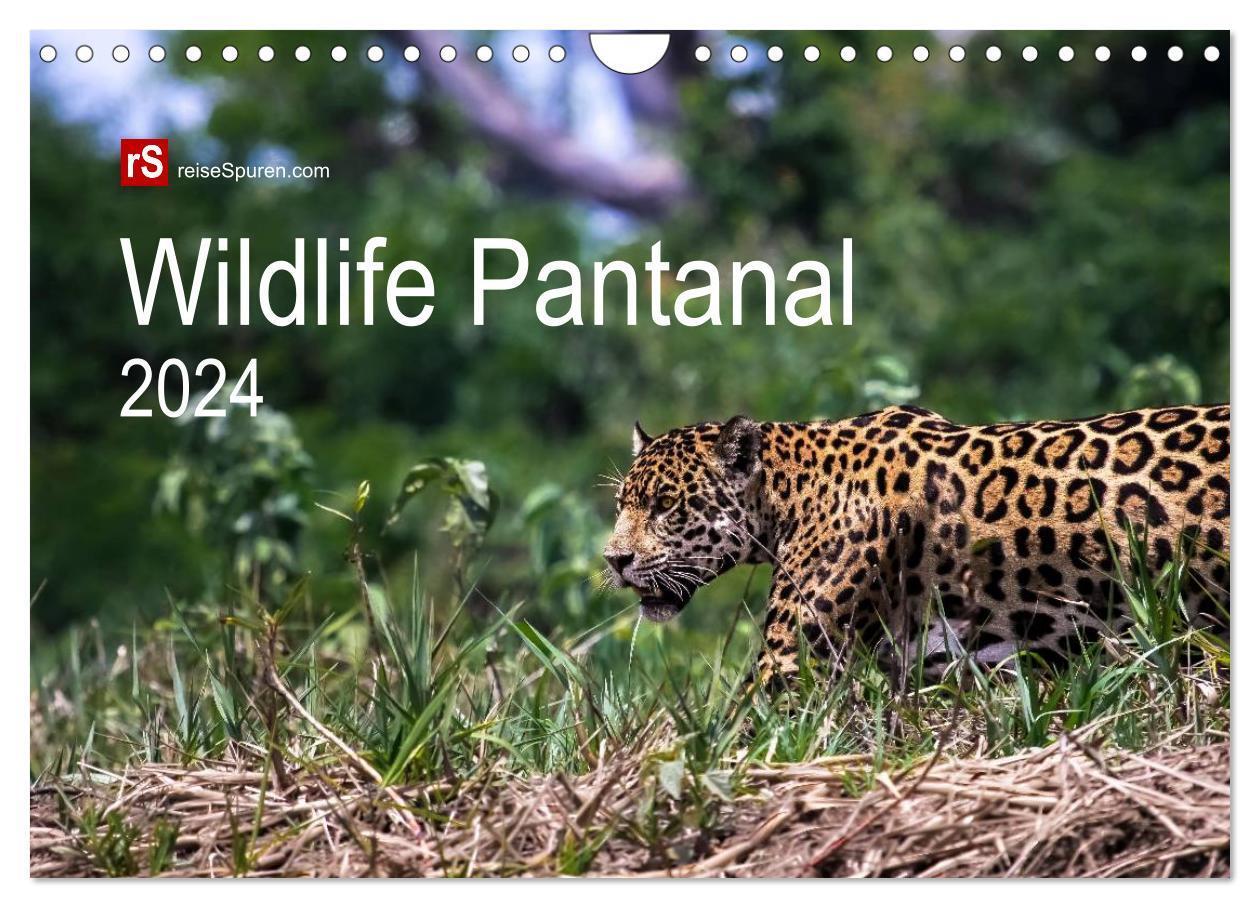 Cover: 9783383477232 | Wildlife Pantanal 2024 (Wandkalender 2024 DIN A4 quer), CALVENDO...