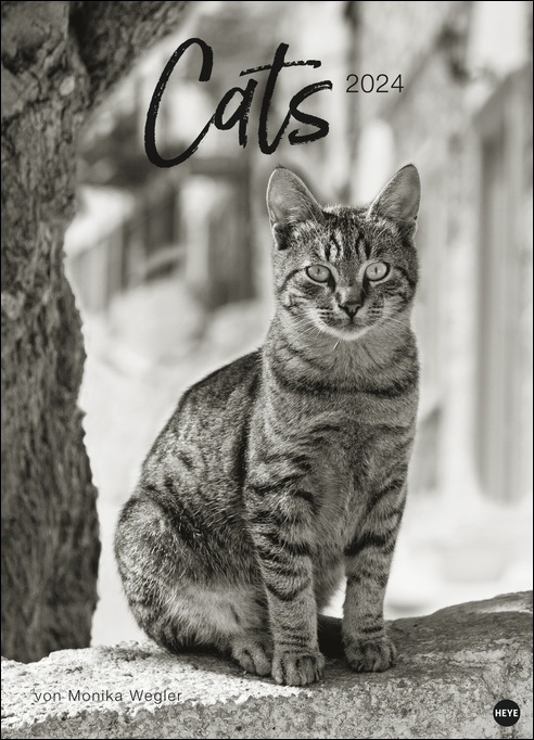 Cover: 9783756402434 | Monika Wegler: Cats Edition 2024. Elegante Samtpfoten in...
