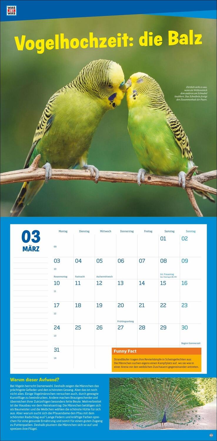 Bild: 9783756405541 | WAS IST WAS Tierwelt Broschurkalender 2025 | Kalender | 28 S. | 2025