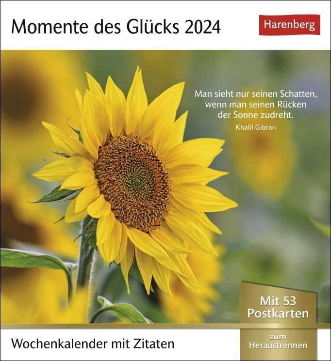 Cover: 9783840031489 | Momente des Glücks Postkarten-Kalender 2024. Positive Stimmung und...