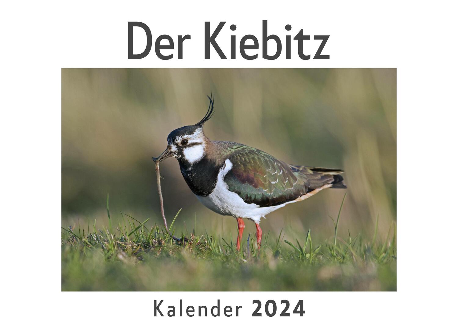 Cover: 9783750556591 | Der Kiebitz (Wandkalender 2024, Kalender DIN A4 quer,...
