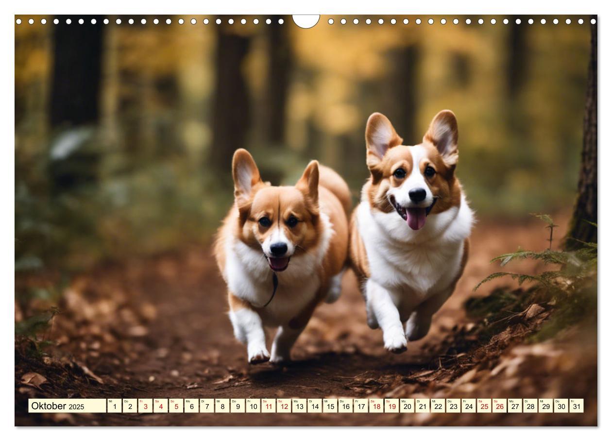 Bild: 9783435244447 | Welsh Corgi Pembroke (Wandkalender 2025 DIN A3 quer), CALVENDO...