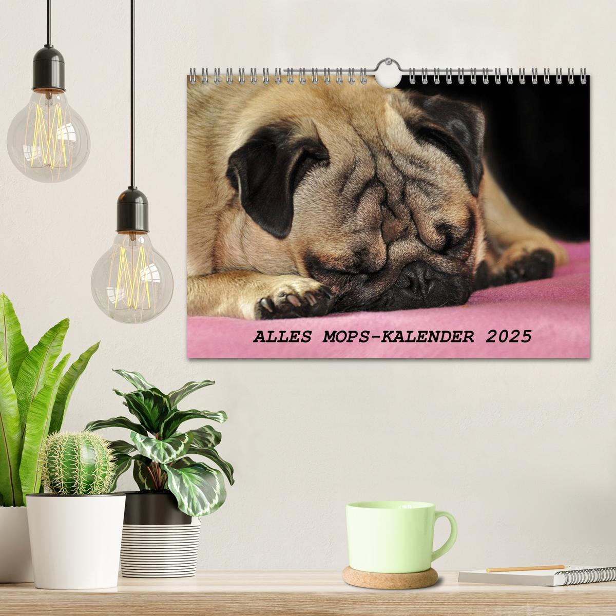 Bild: 9783435391530 | Alles Mops-Kalender 2025 (Wandkalender 2025 DIN A4 quer), CALVENDO...