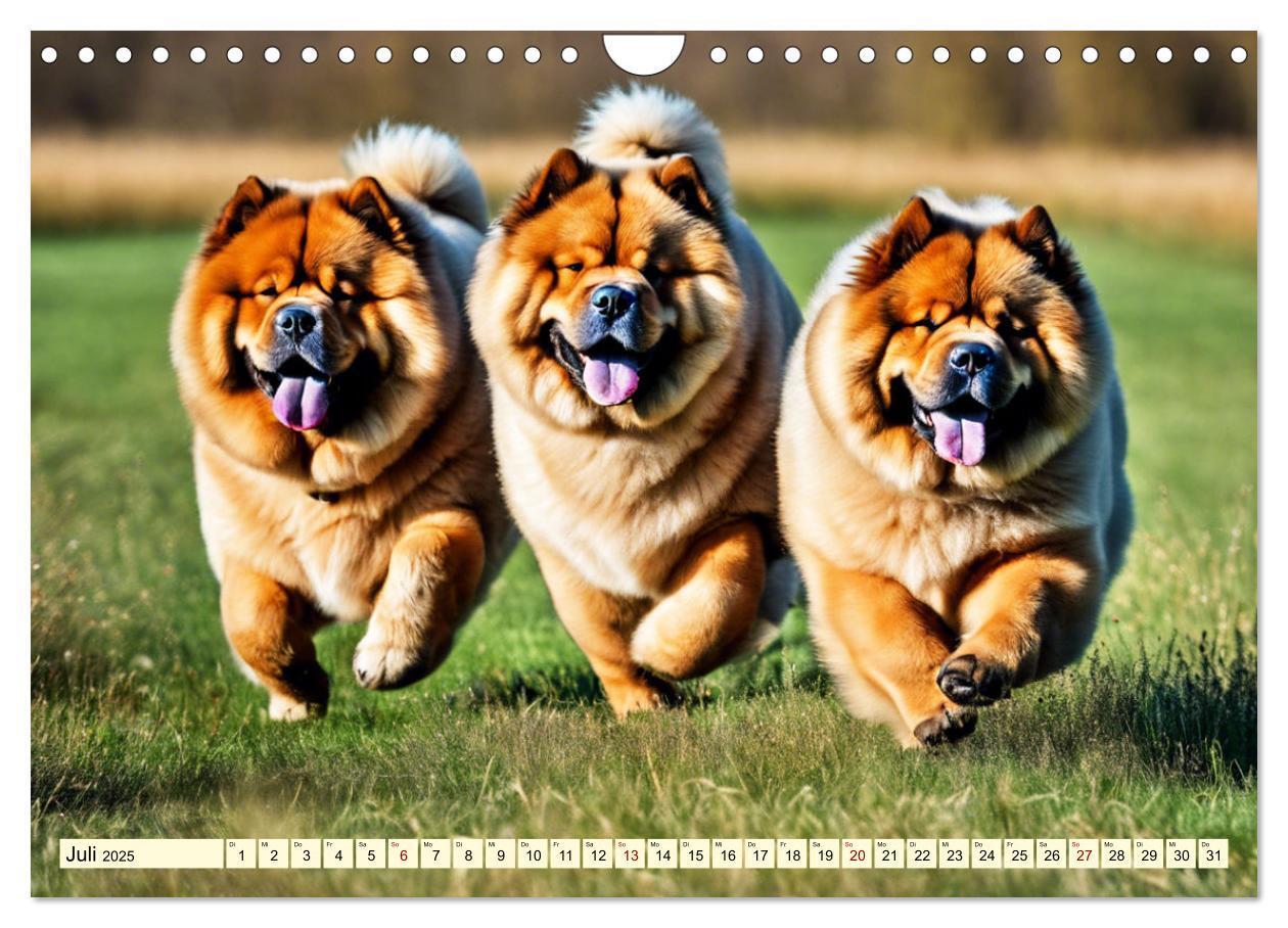 Bild: 9783457015513 | Chow Chow - der Löwenkopfhund (Wandkalender 2025 DIN A4 quer),...