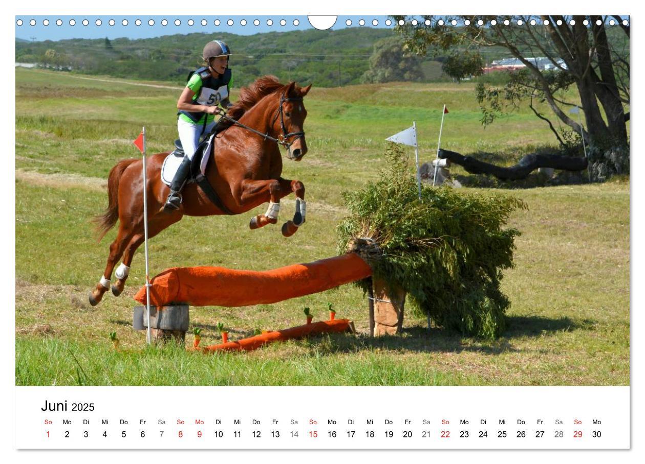 Bild: 9783435618057 | Vielseitigkeitsreiten (Wandkalender 2025 DIN A3 quer), CALVENDO...