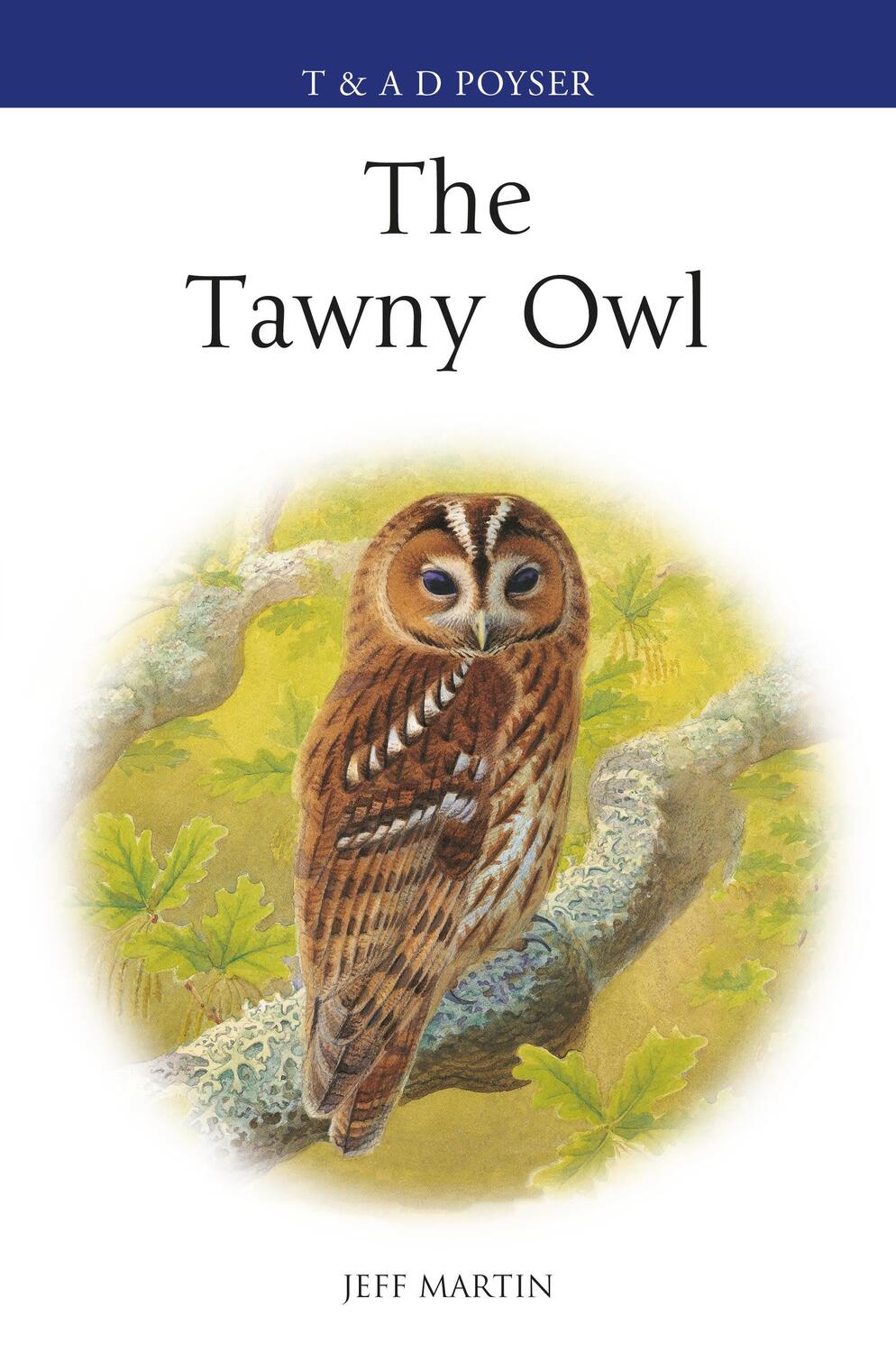Cover: 9781472943569 | Martin, J: The Tawny Owl | Jeff Martin | Poyser Monographs | Gebunden