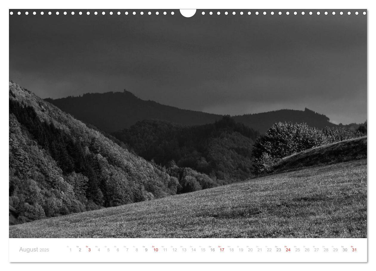 Bild: 9783435514540 | Mystischer Schwarzwald (Wandkalender 2025 DIN A3 quer), CALVENDO...