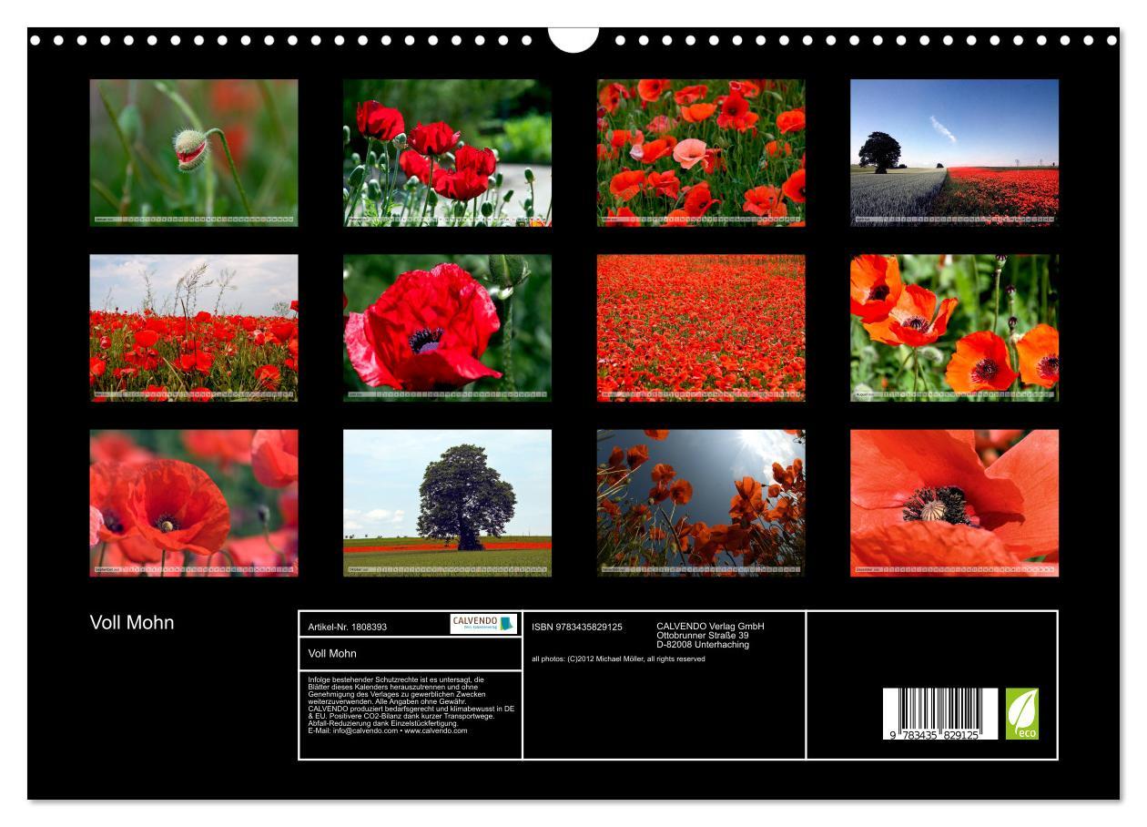 Bild: 9783435829125 | Voll Mohn (Wandkalender 2025 DIN A3 quer), CALVENDO Monatskalender