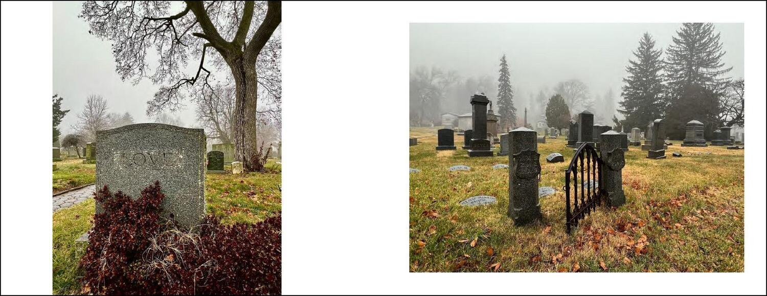 Bild: 9783777443645 | Ode to a Cemetery | Bethany Eden Jacobson | Cole Swensen | Buch | 2024