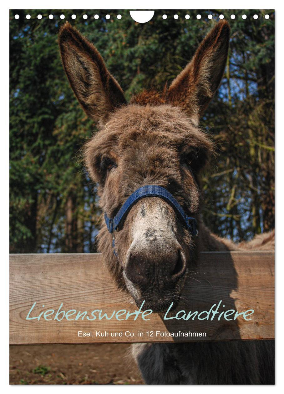 Cover: 9783435943203 | Liebenswerte Landtiere (Wandkalender 2025 DIN A4 hoch), CALVENDO...