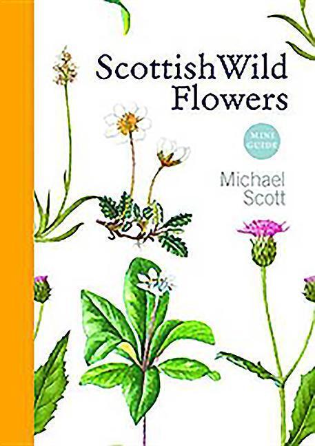 Cover: 9781841589541 | Scottish Wild Flowers | Mini Guide | Michael Scott | Taschenbuch