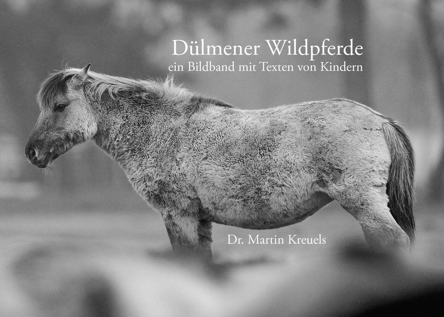 Cover: 9783735760647 | Dülmener Wildpferde | ein Bildband mit Texten von Kindern | Kreuels