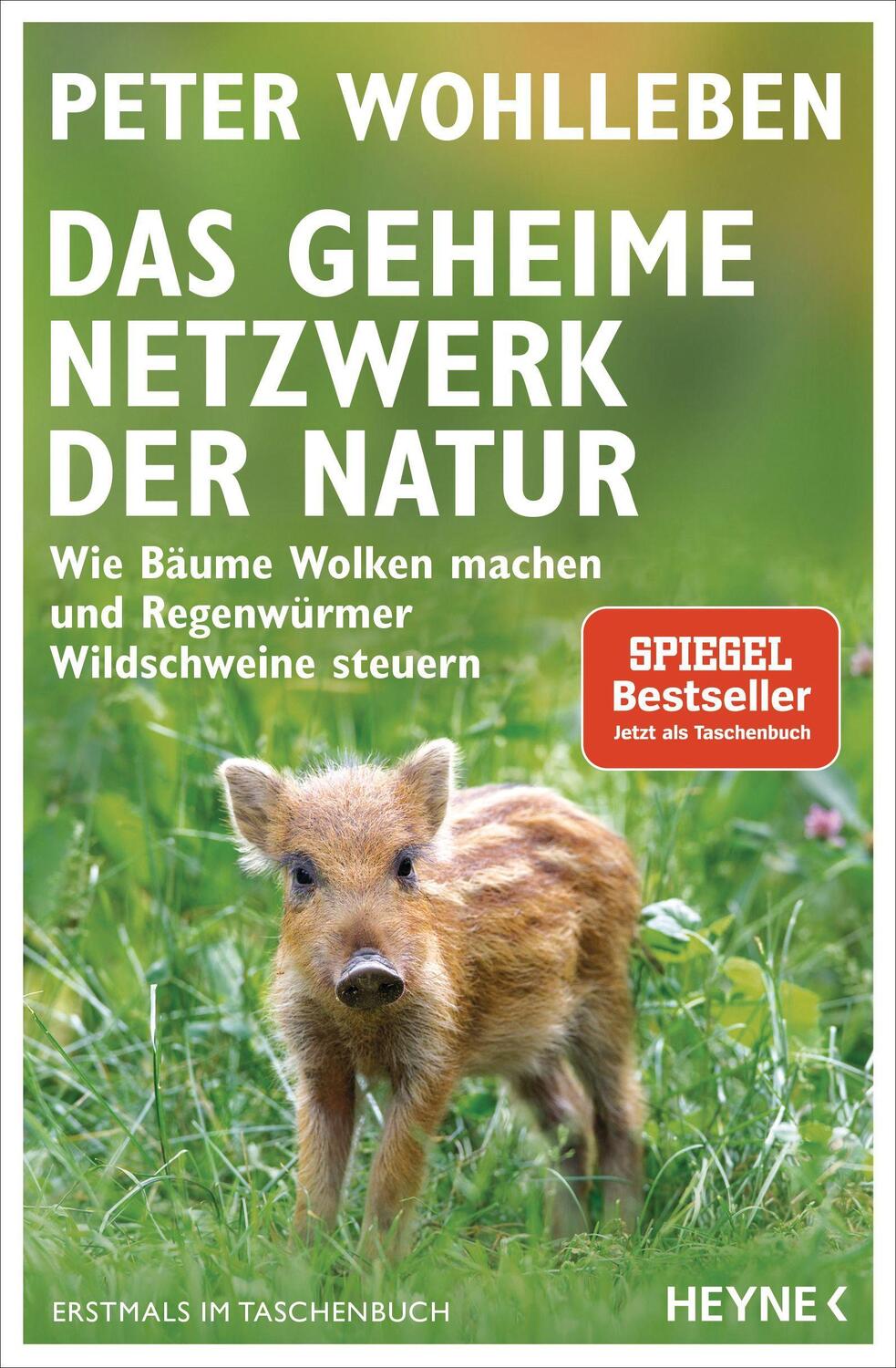 Cover: 9783453605619 | Das geheime Netzwerk der Natur | Peter Wohlleben | Taschenbuch | 2020