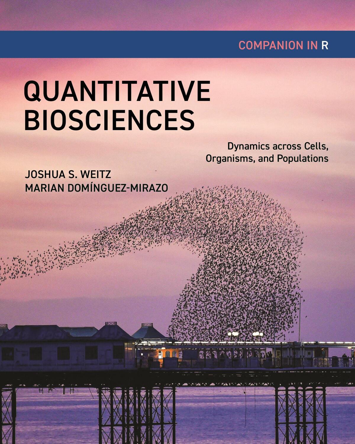 Cover: 9780691255668 | Quantitative Biosciences Companion in R | Joshua S. Weitz (u. a.)