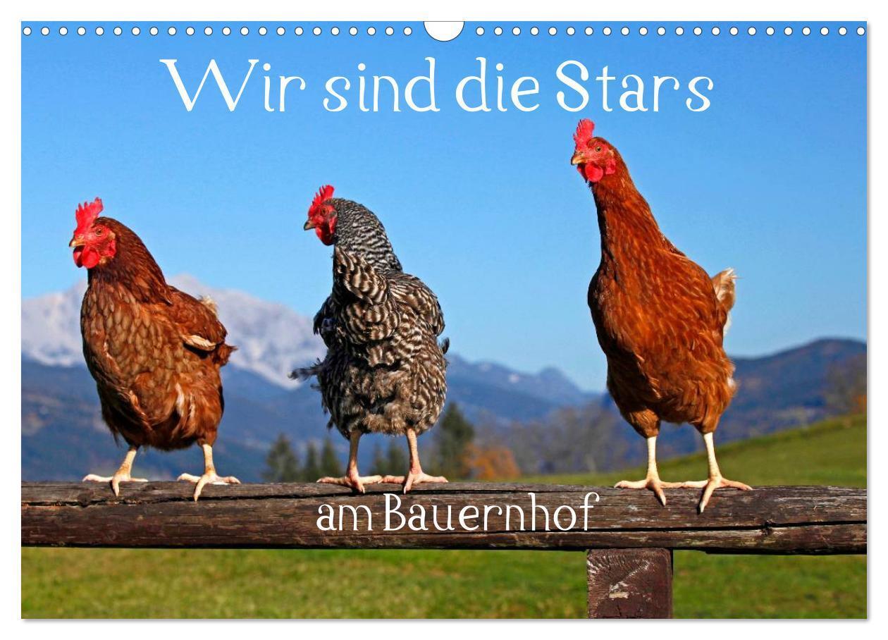 Cover: 9783383277207 | Wir sind die Stars am Bauernhof (Wandkalender 2024 DIN A3 quer),...