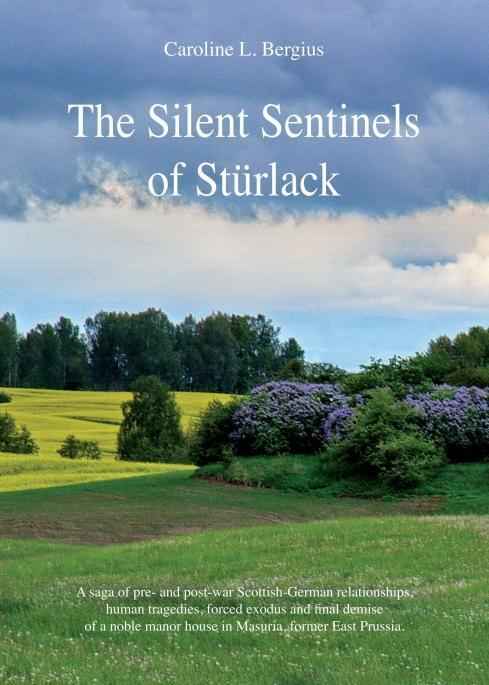 Cover: 9783991180449 | The Silent Sentinels of Stürlack | Caroline Bergius | Taschenbuch