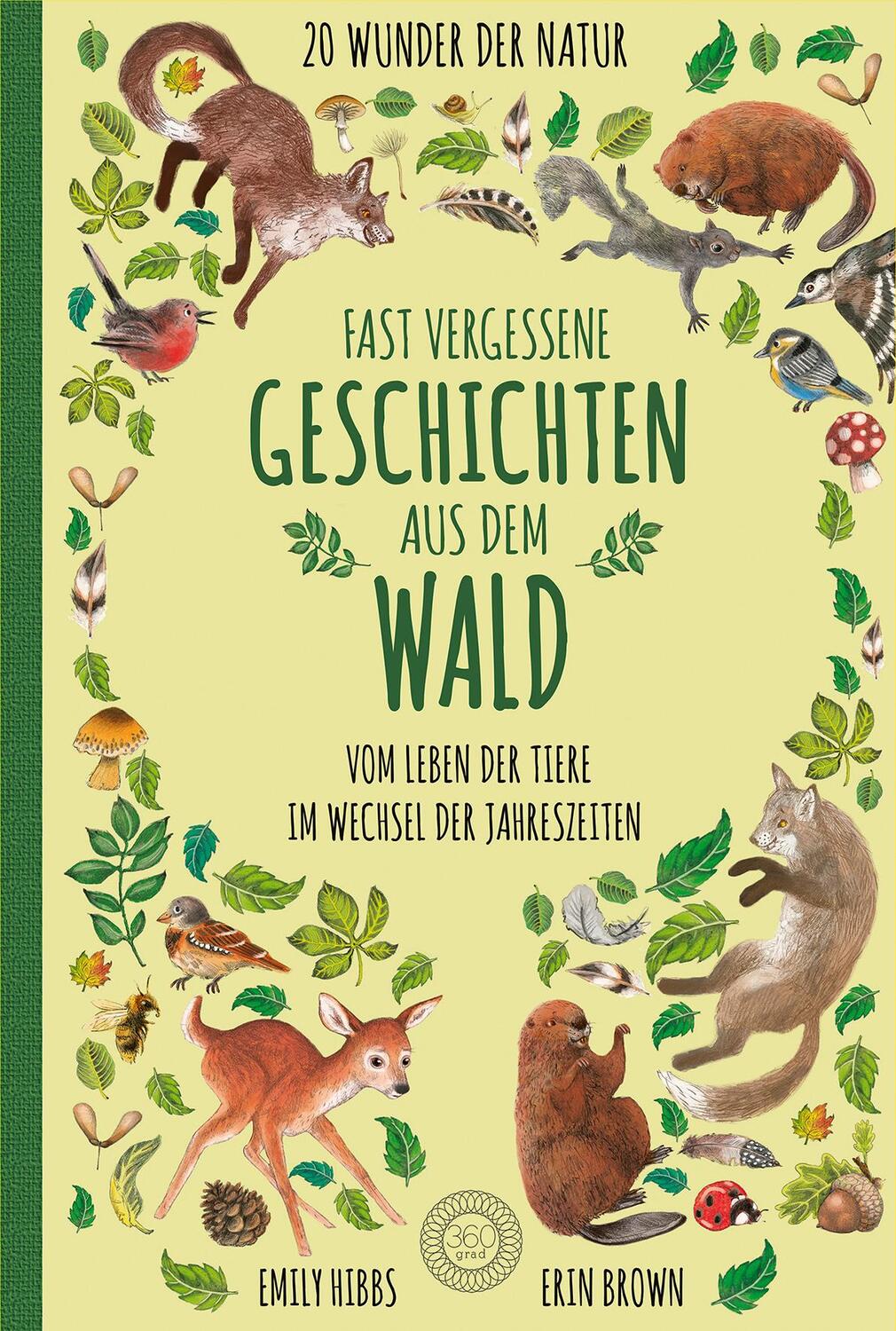 Cover: 9783961850419 | Fast vergessene Geschichten aus dem Wald | Emily Hibbs | Buch | 2020