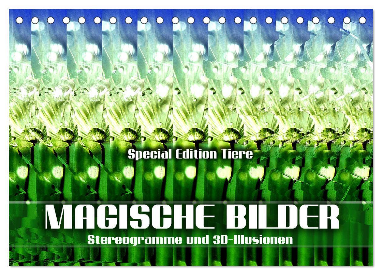 Cover: 9783675966833 | Magische Bilder - Stereogramme und 3D-Illusionen (Tischkalender...