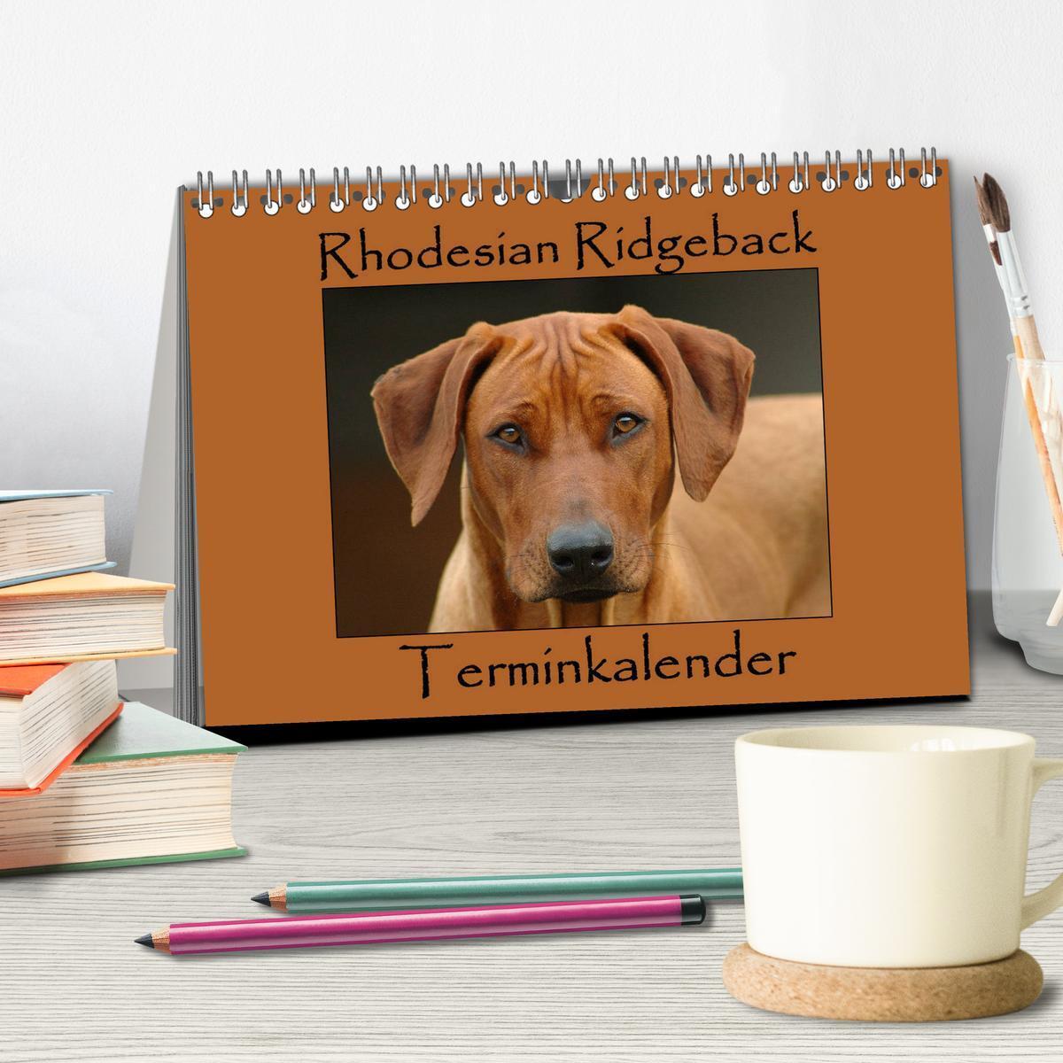 Bild: 9783435450664 | Rhodesian Ridgeback Terminkalender (Tischkalender 2025 DIN A5...