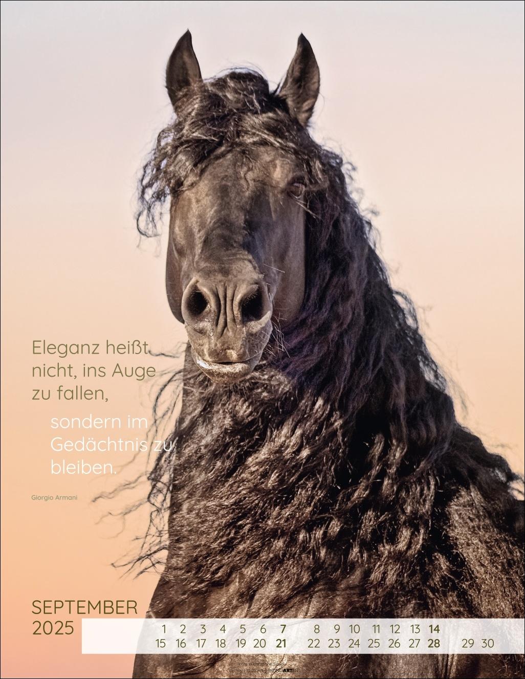 Bild: 9783839901212 | Pferdepoesie Kalender 2025 | Christiane Slawik | Kalender | 14 S.