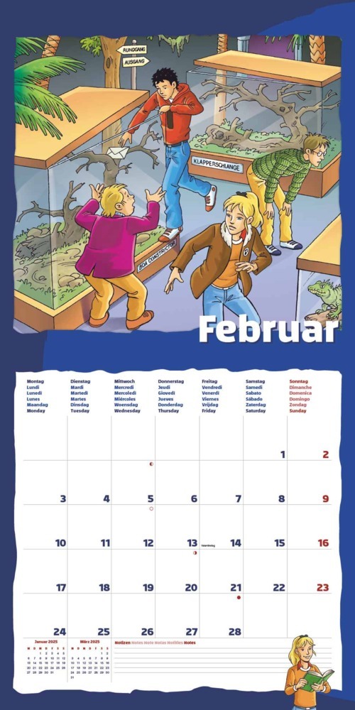 Bild: 4251732344313 | Alpha Edition - TKKG 2025 Broschürenkalender, 30x30cm, Kalender mit...