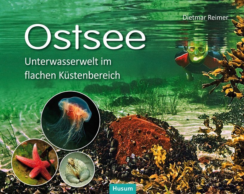 Cover: 9783898766593 | Ostsee | Dietmar Reimer | Buch | 96 S. | Deutsch | 2013 | Husum