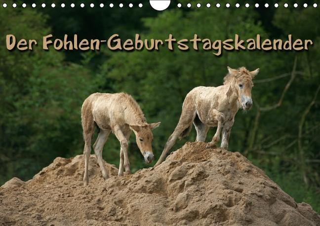 Cover: 9783660196078 | Der Fohlen-Geburtstagskalender (Wandkalender immerwährend DIN A4 quer)