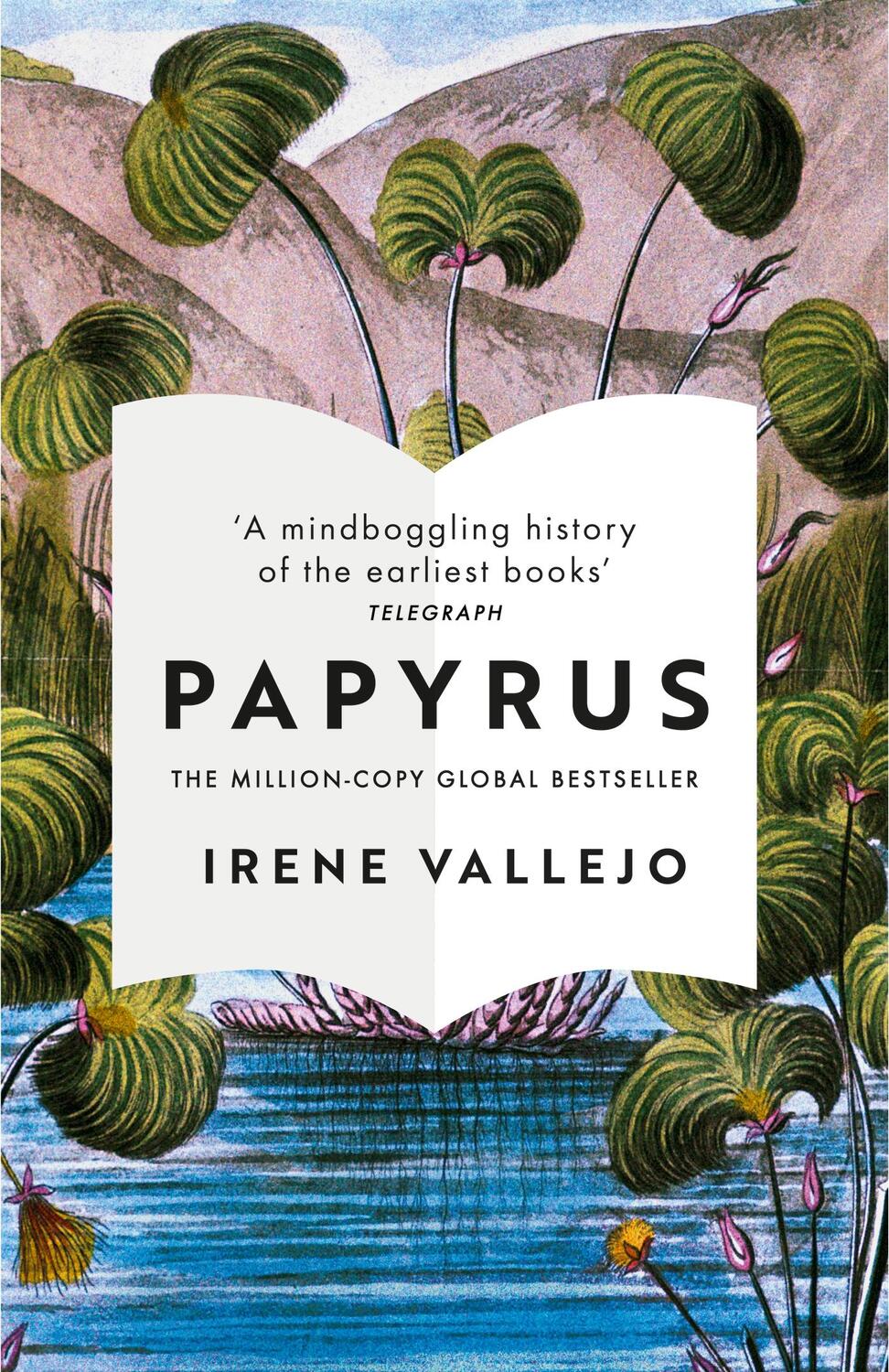 Cover: 9781529344004 | Papyrus | Irene Vallejo | Taschenbuch | 444 S. | Englisch | 2023