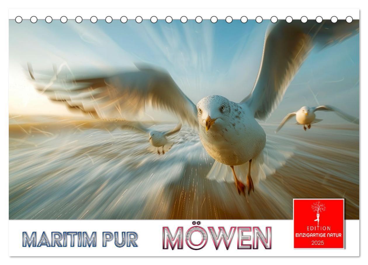 Cover: 9783457162484 | Maritim pur - Möwen (Tischkalender 2025 DIN A5 quer), CALVENDO...