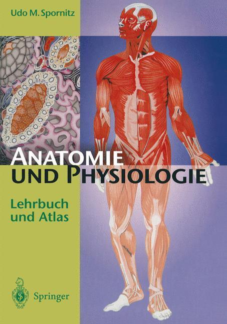 Cover: 9783642855955 | Anatomie und Physiologie | Lehrbuch und Atlas | Udo M. Spornitz | Buch