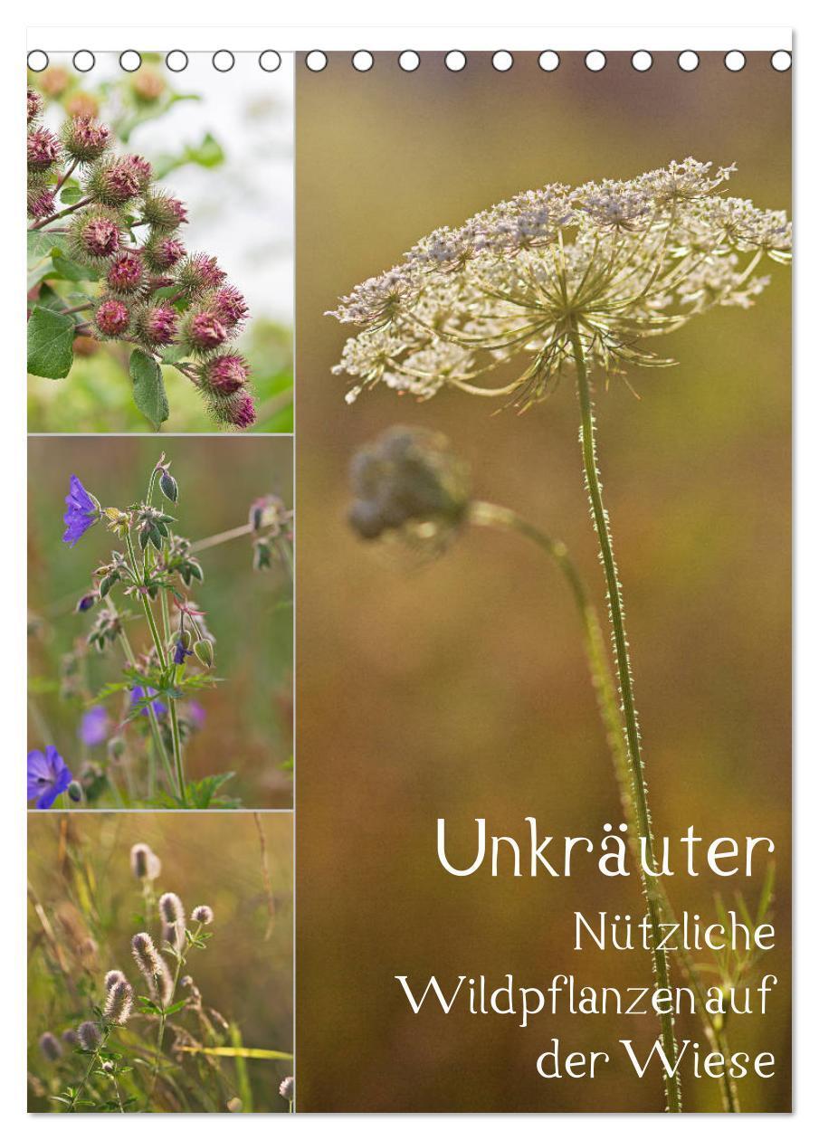 Cover: 9783457000779 | Unkräuter - Nützliche Wildpflanzen auf der Wiese (Tischkalender...