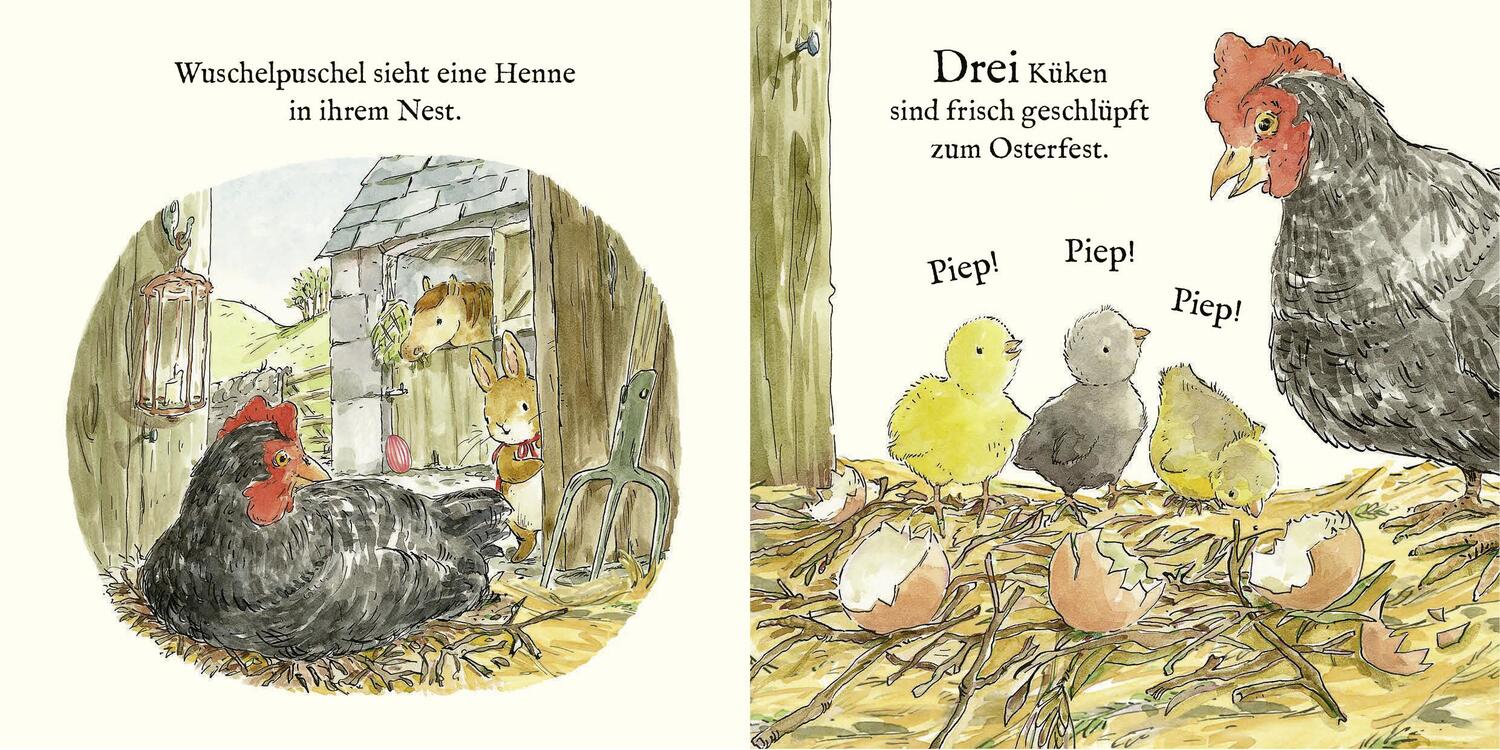 Bild: 9783737372213 | Die Welt von Peter Hase - Das bunte Osterfest | Beatrix Potter | Buch
