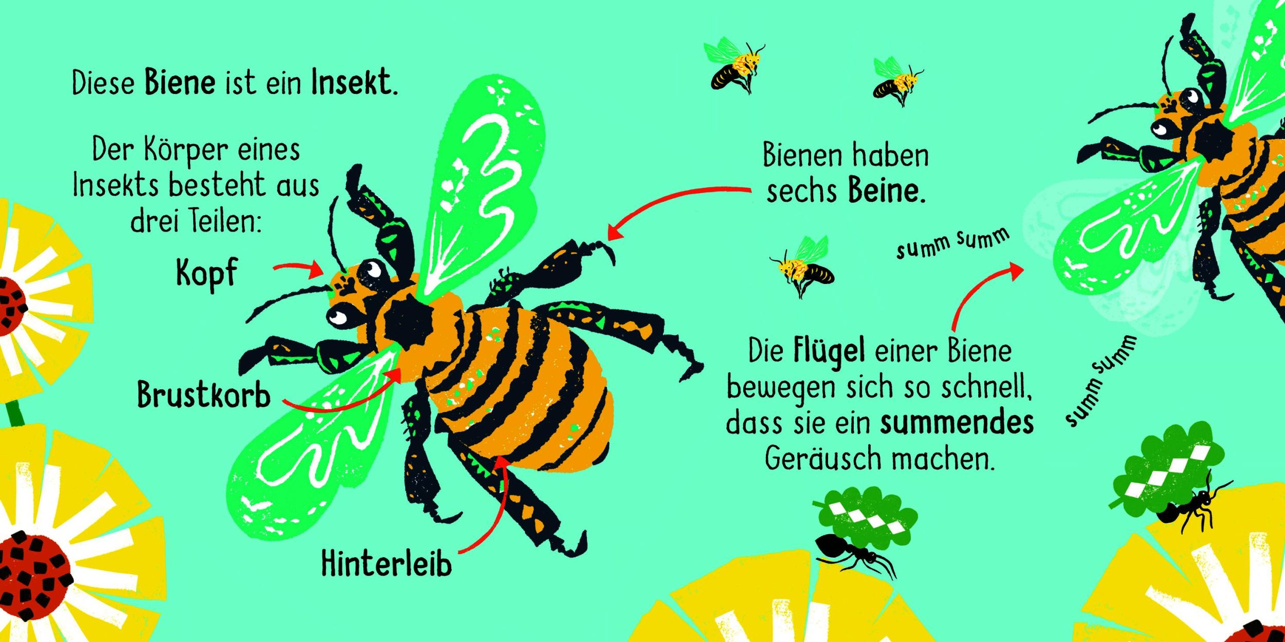 Bild: 9783411722280 | 50 Wörter über die Natur - Insekten | Lily Holland | Buch | 32 S.