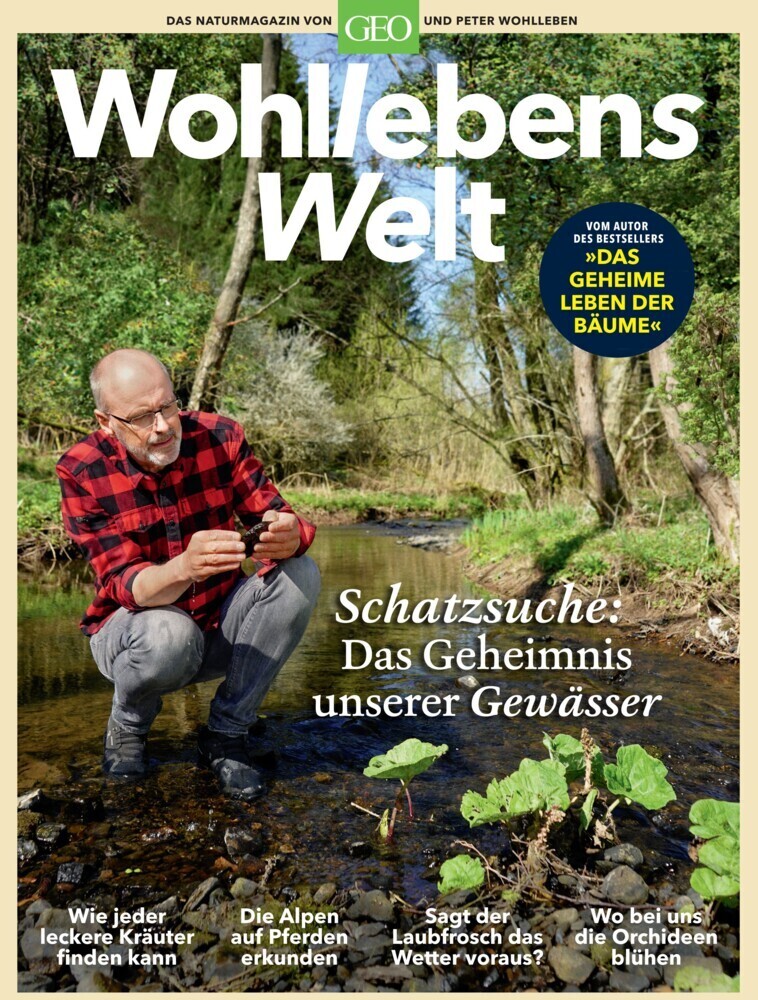 Cover: 9783652009317 | Wohllebens Welt / Wohllebens Welt 6/2020 - Schatzsuche: Das...