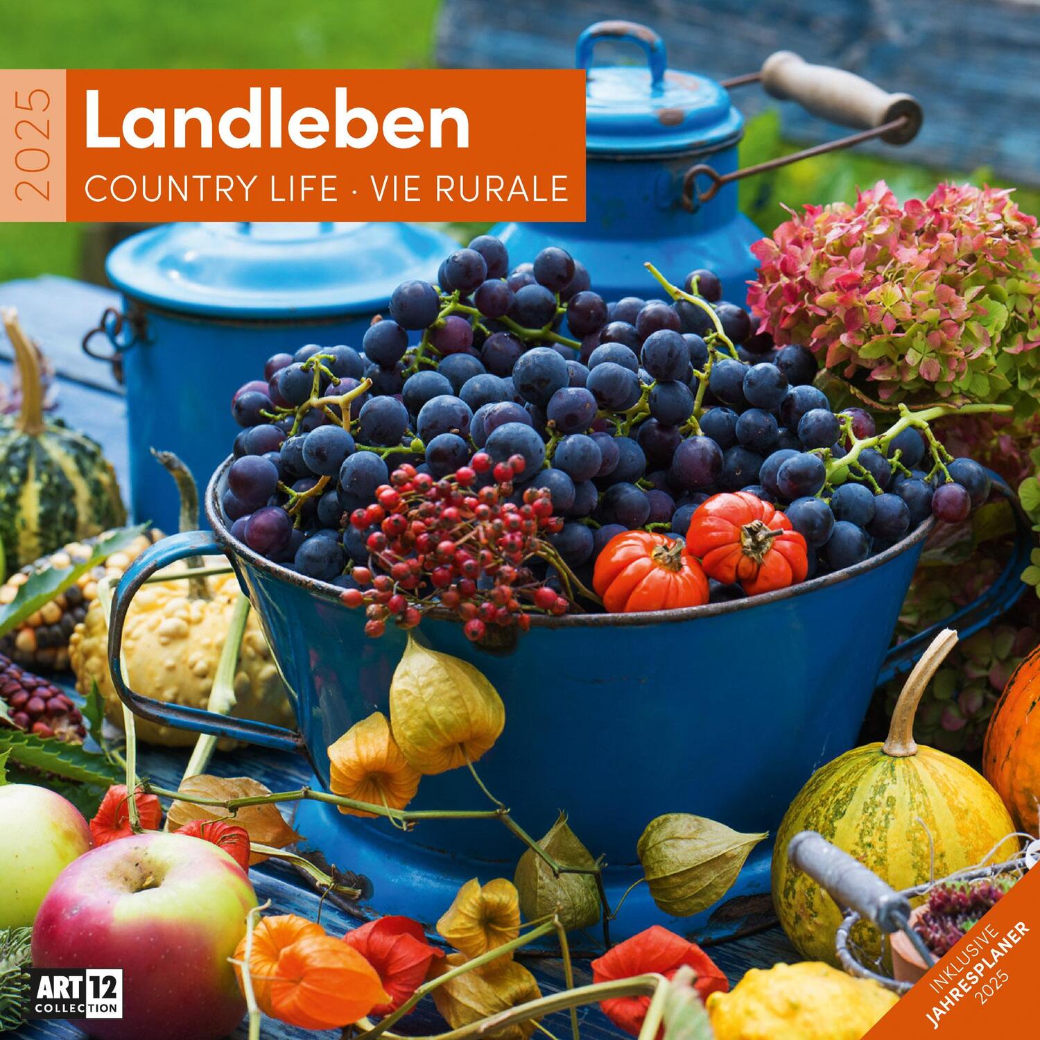 Cover: 9783838445168 | Landleben Kalender 2025 - 30x30 | Ackermann Kunstverlag | Kalender