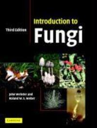 Cover: 9780521014830 | Introduction to Fungi | John Webster (u. a.) | Taschenbuch | Englisch