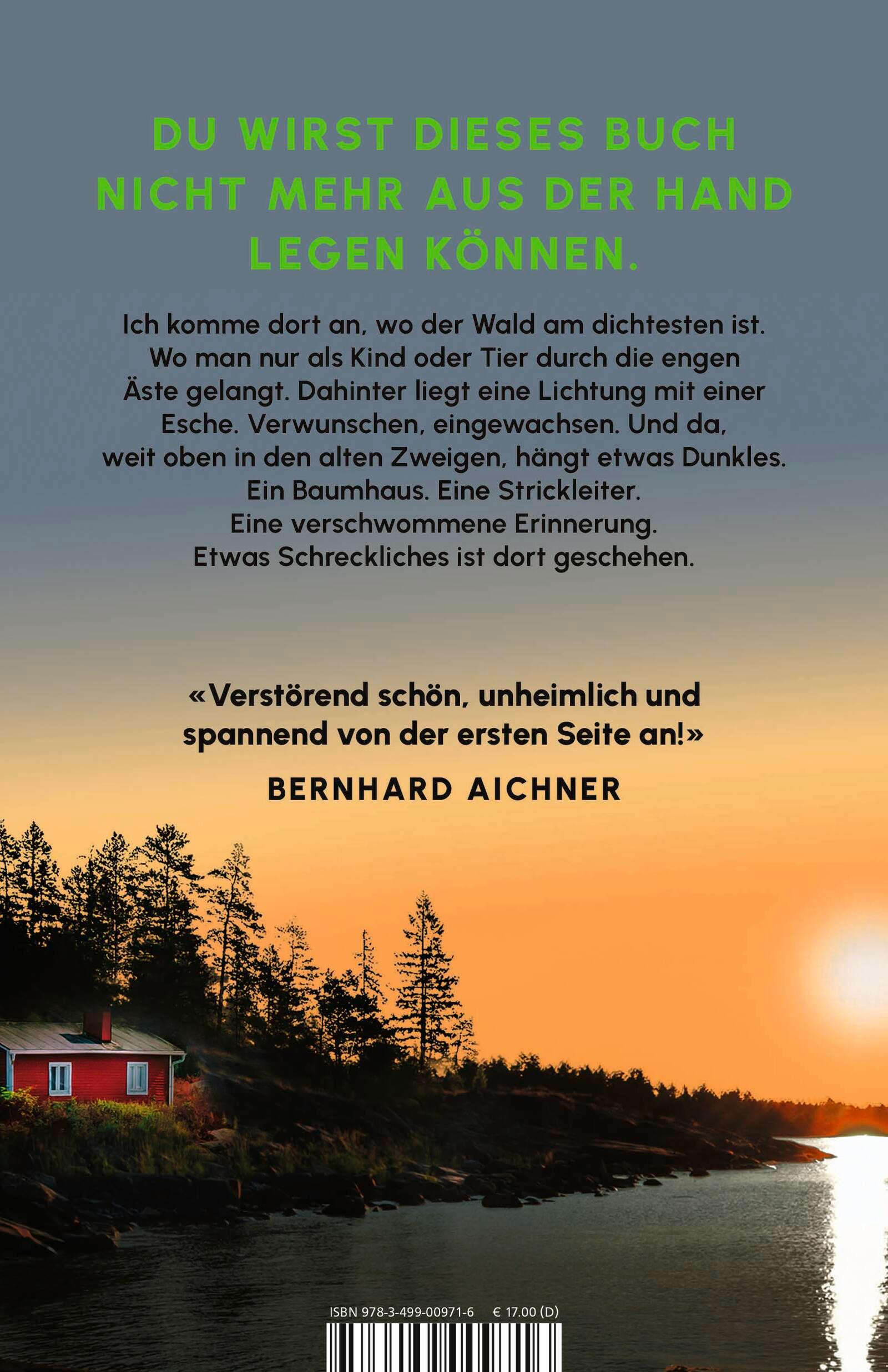 Rückseite: 9783499009716 | Das Baumhaus | Vera Buck | Taschenbuch | 400 S. | Deutsch | 2024