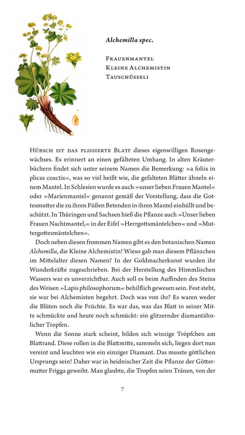 Bild: 9783887473297 | Jungfer im Grünen und Tausendgüldenkraut | Rosemarie Gebauer | Buch