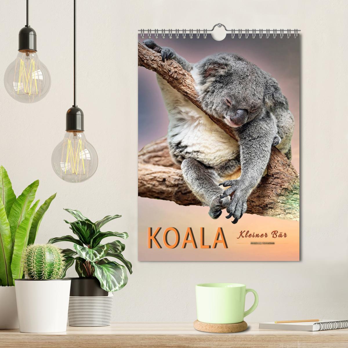 Bild: 9783435950577 | Koala, kleiner Bär (Wandkalender 2025 DIN A4 hoch), CALVENDO...