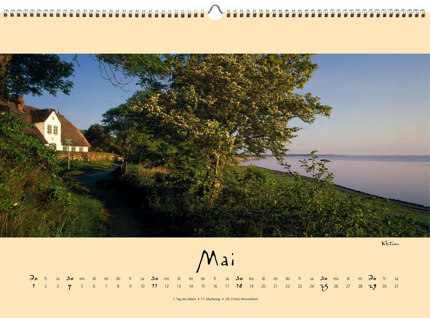 Bild: 9783944498614 | Sylt-die Insel 2025 Panoramakalender | Gernot Westendorf | Kalender