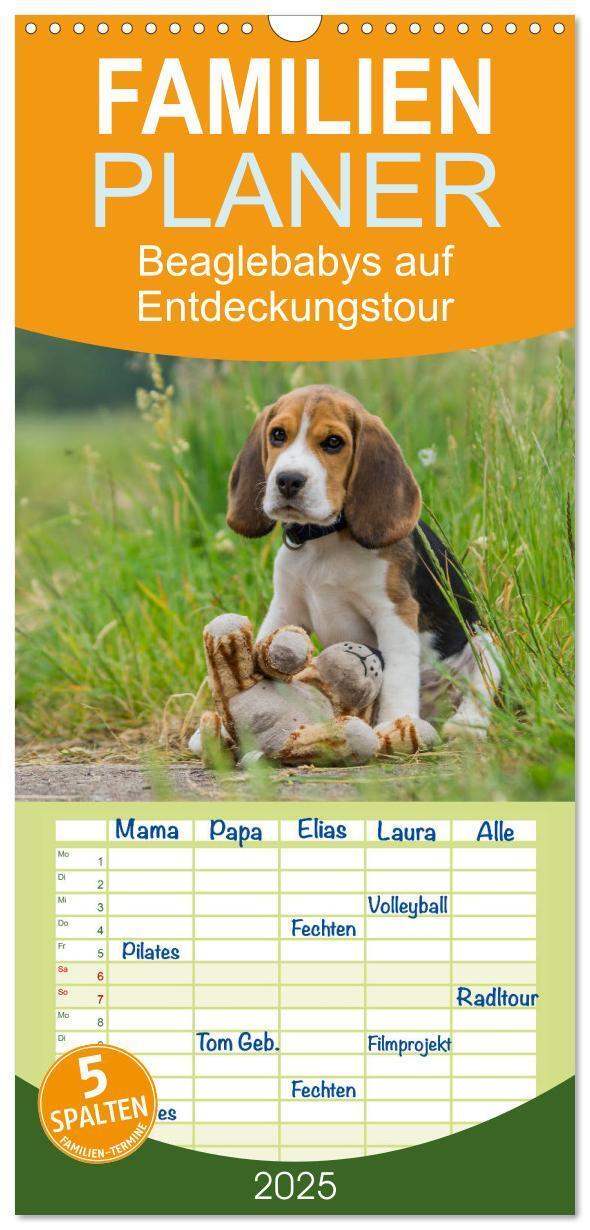 Cover: 9783457114315 | Familienplaner 2025 - Beaglebabys auf Entdeckungstour mit 5 Spalten...